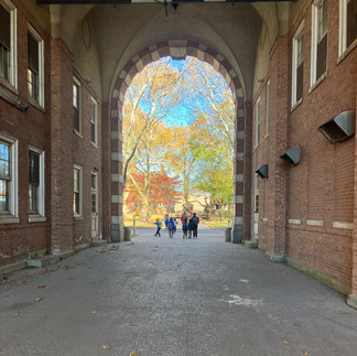 Twenty questions by lantern light