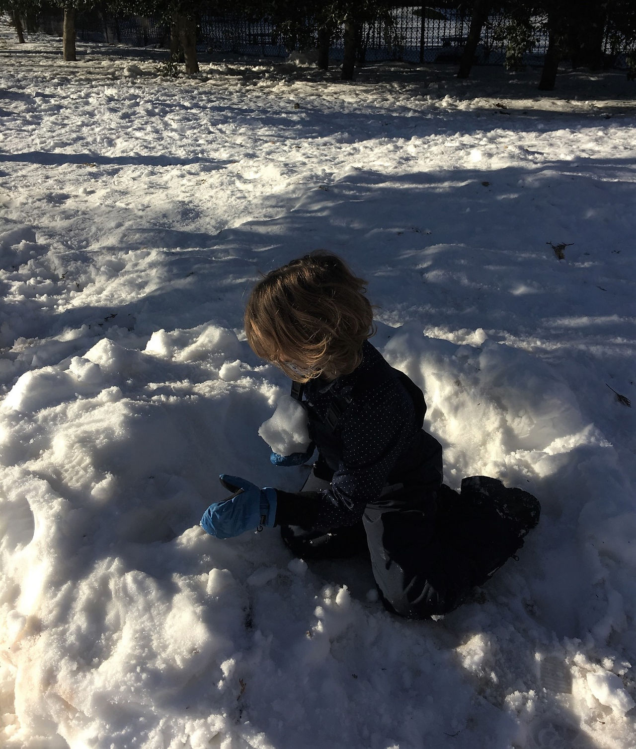 Building a snow fort