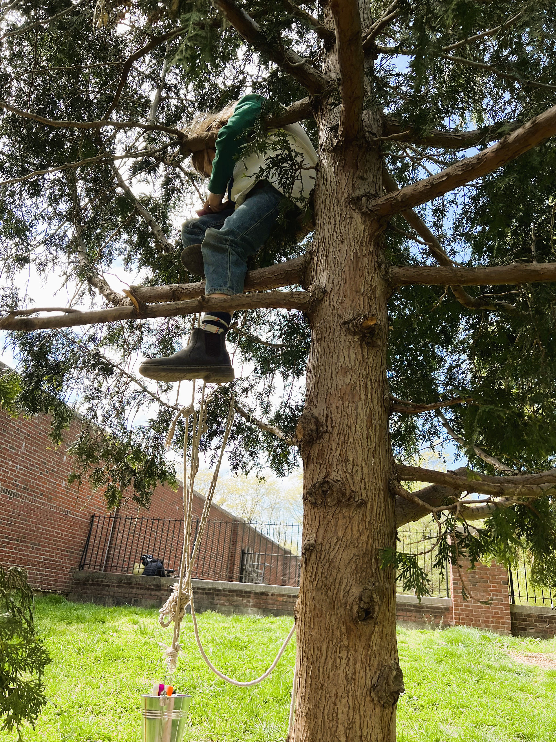 Tree pulley
