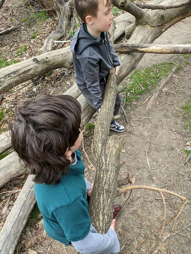 Carrying logs