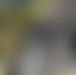 Twenty questions by lantern light