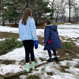 Bouncy branch trampoline
