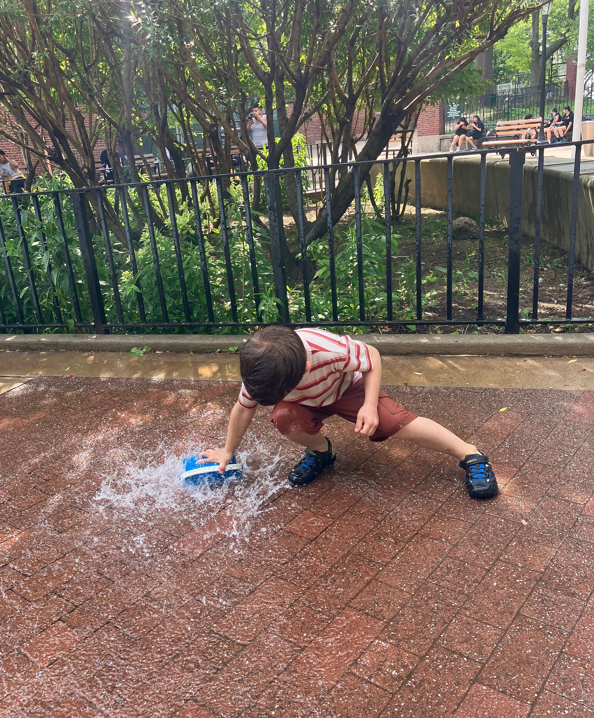 Splash