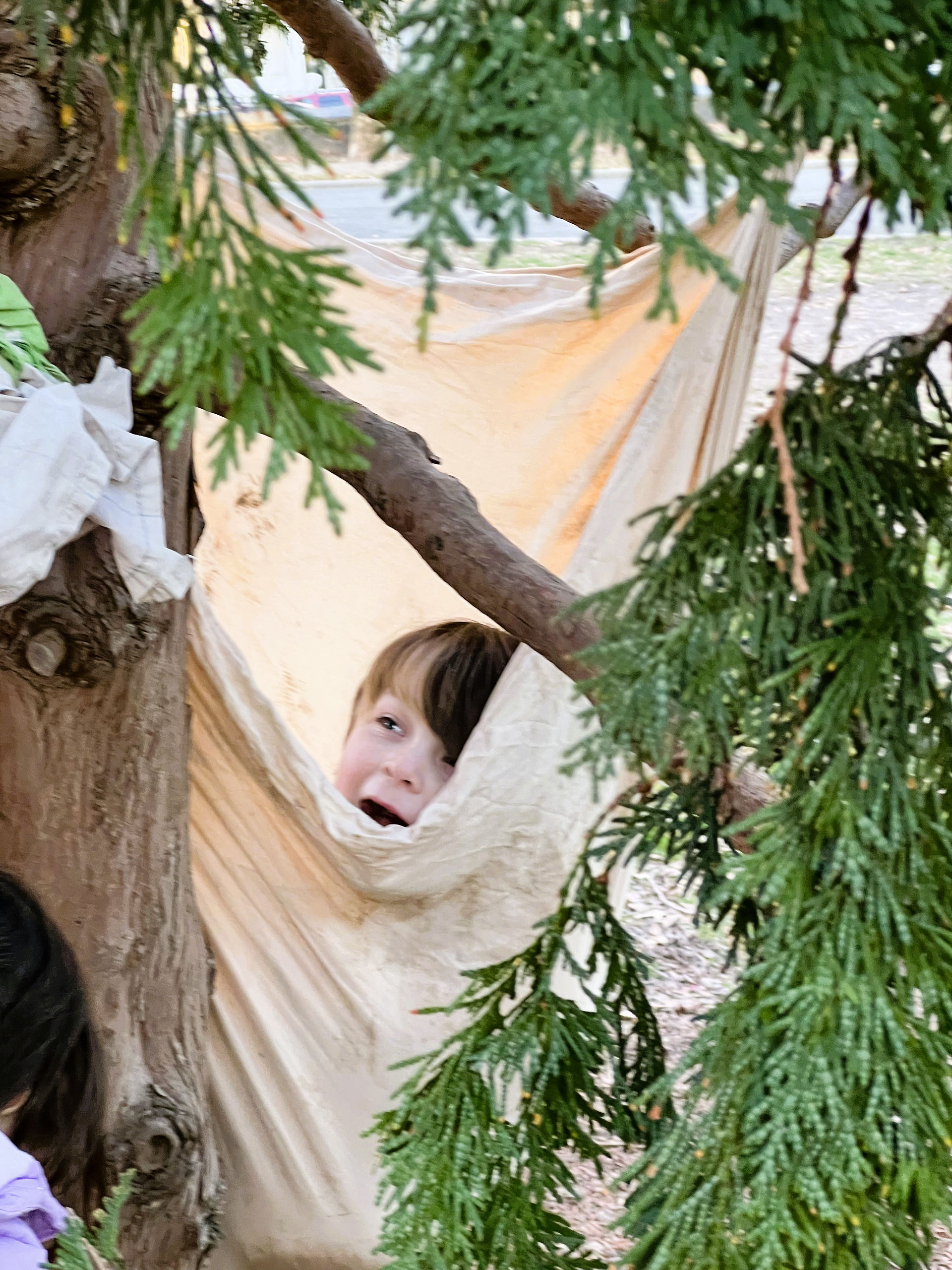 Peeking out