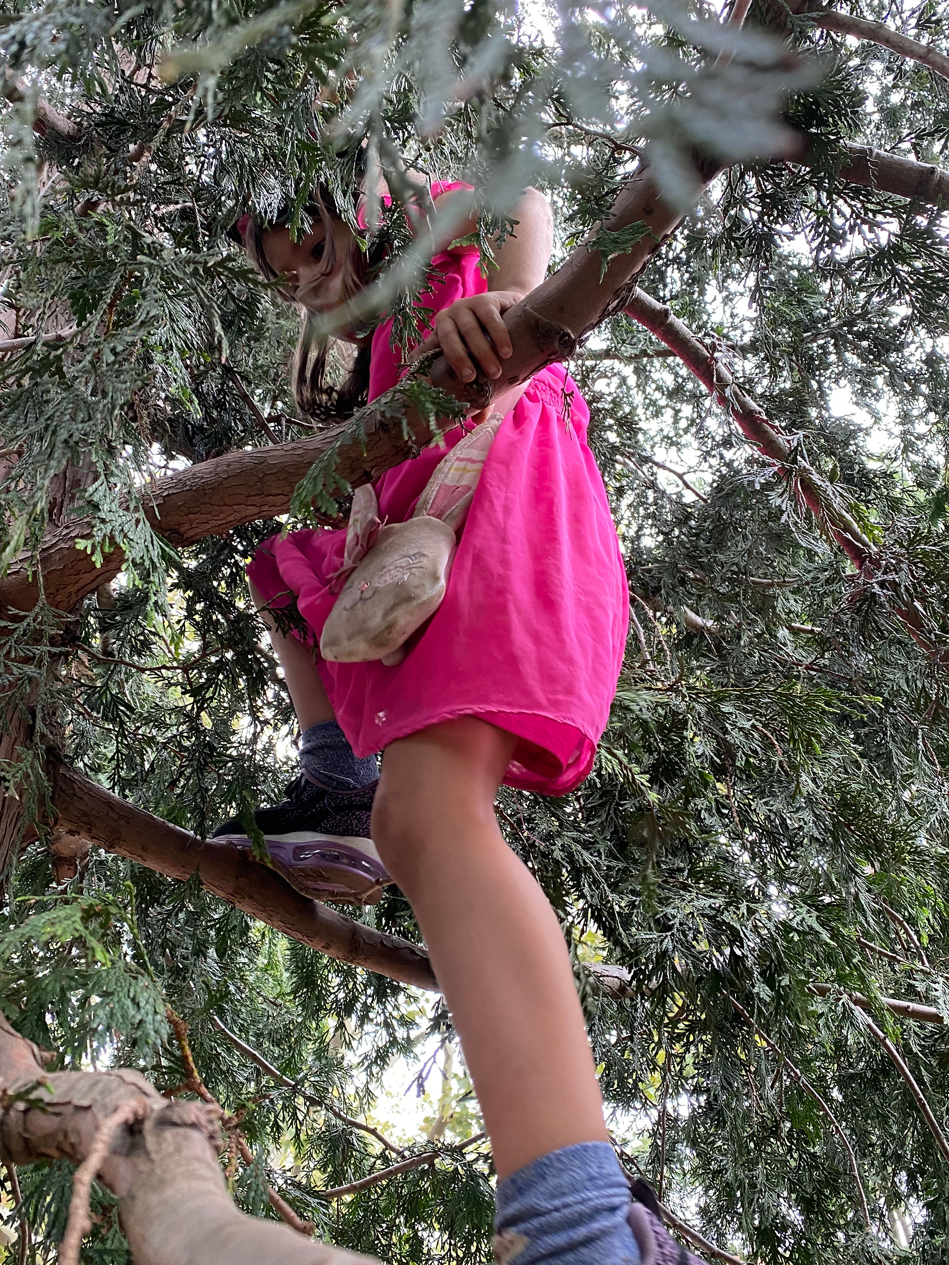 Climbing up