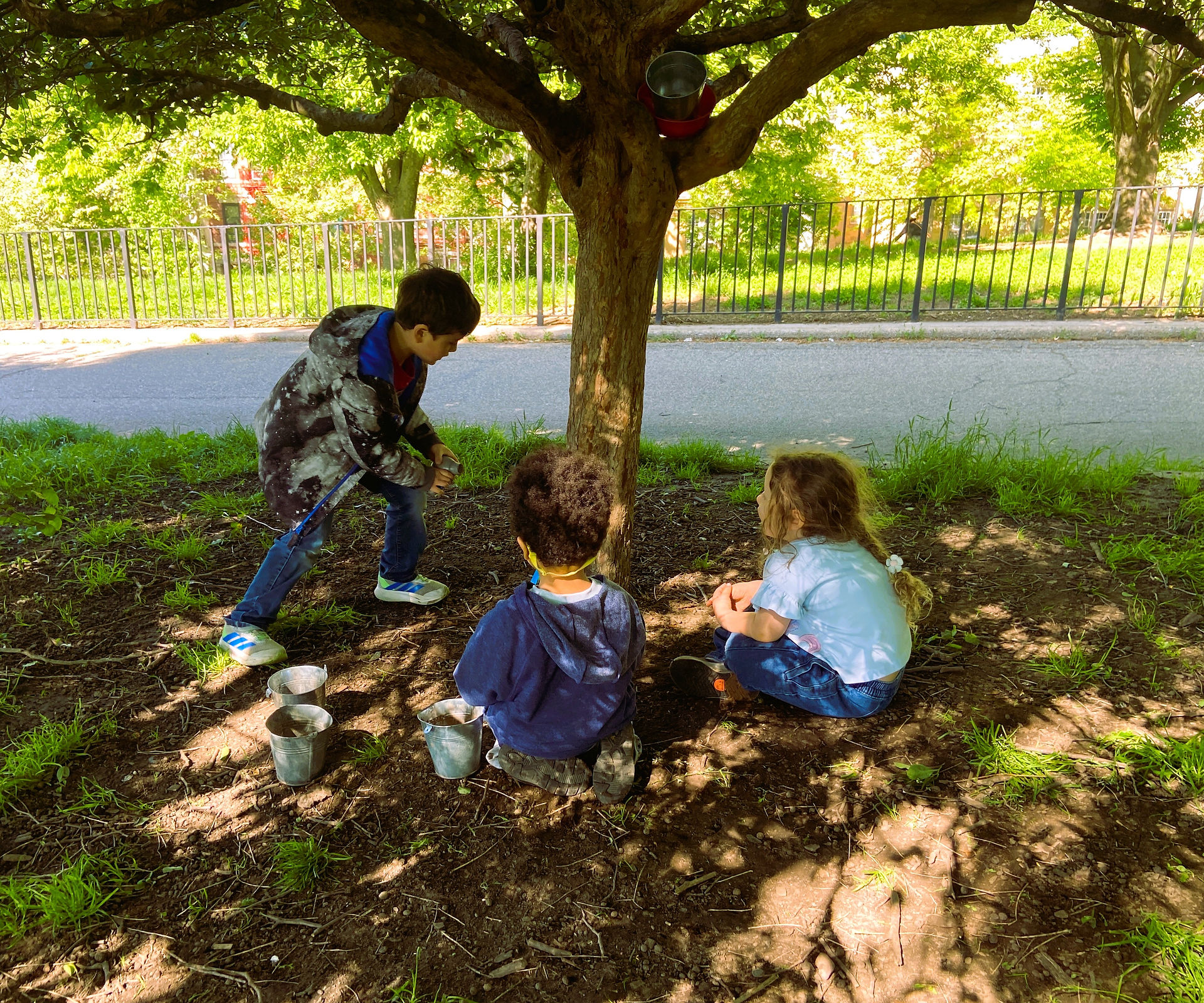 Under the tree