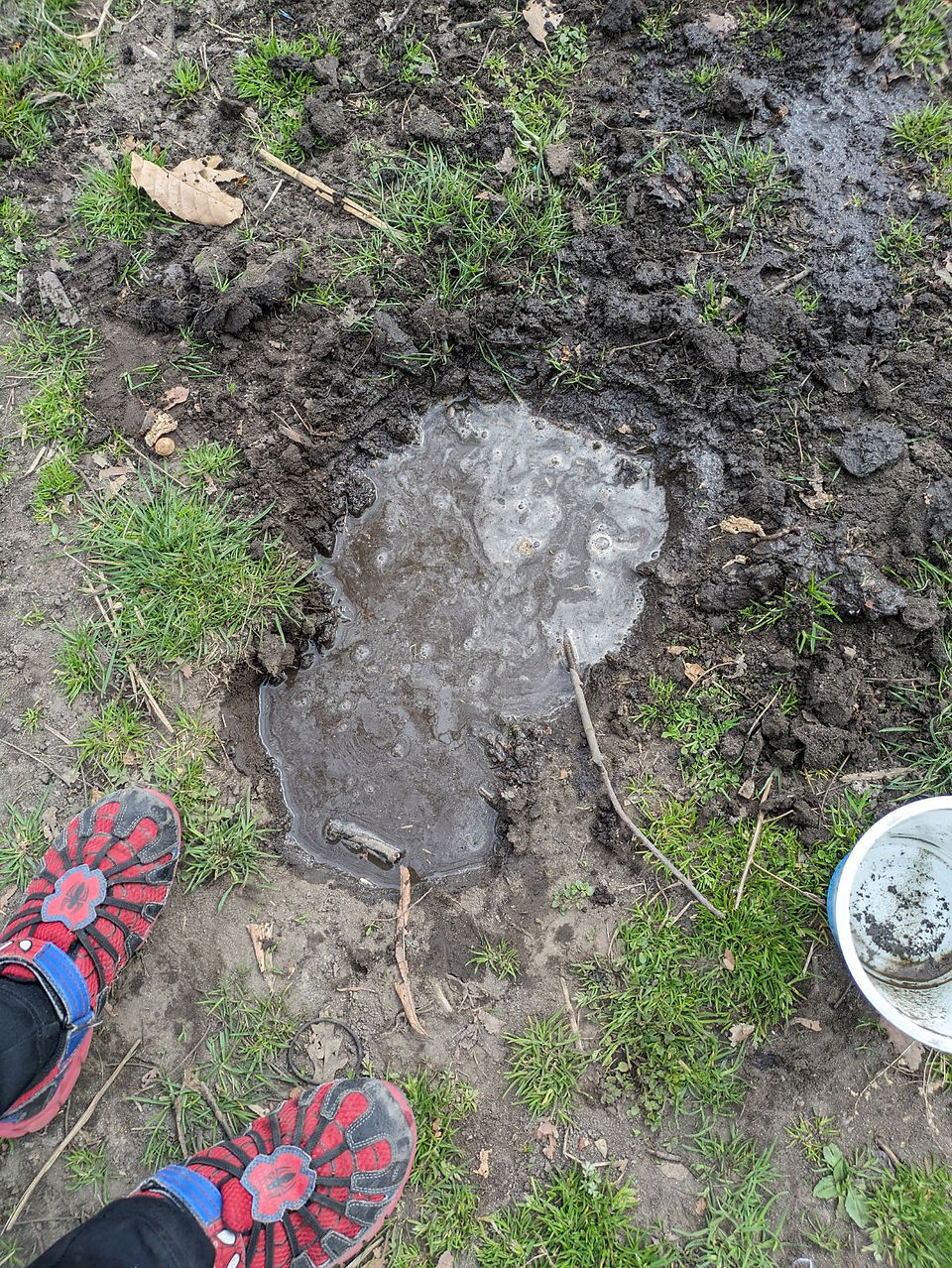 Water filled the hole!