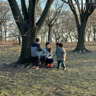 Explaining their house