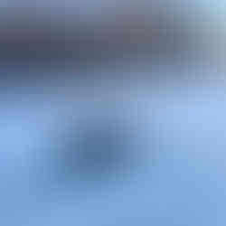 Sledding all together