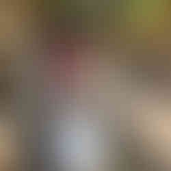 Twenty questions by lantern light