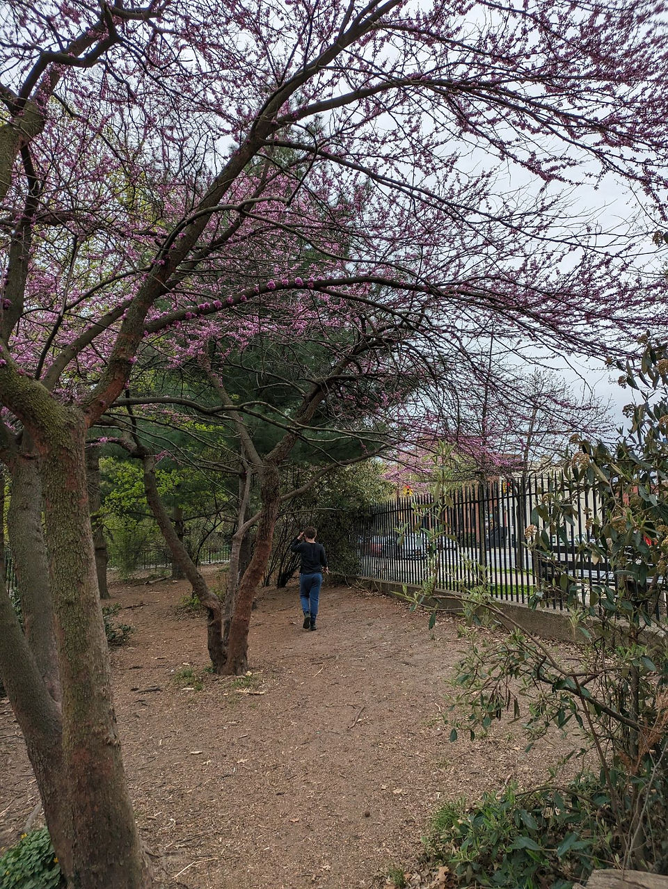 Walking the town