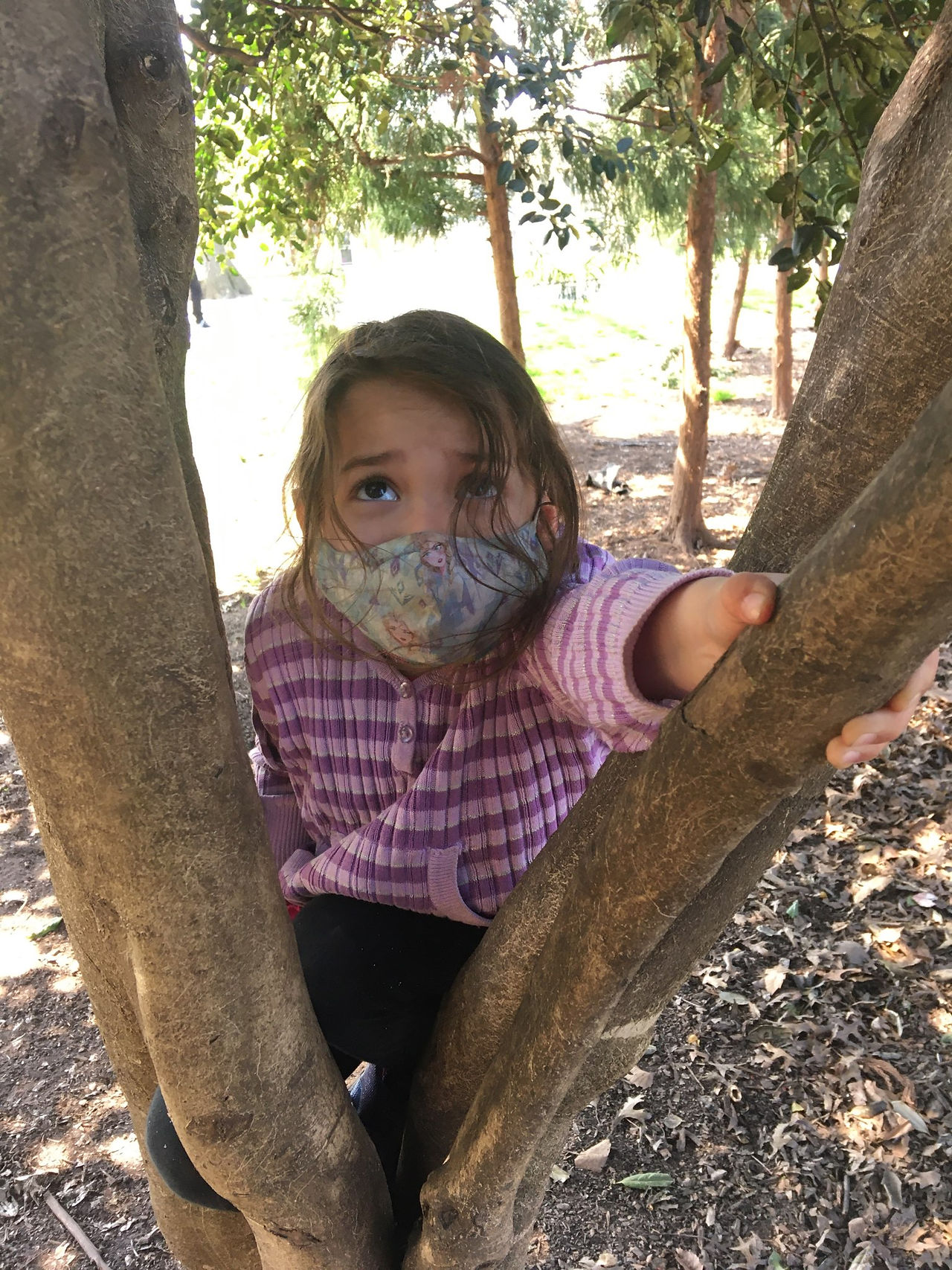 Learning to climb