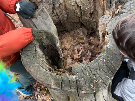 Mulch and Climbing: playing on the holiday, 4/2/26
