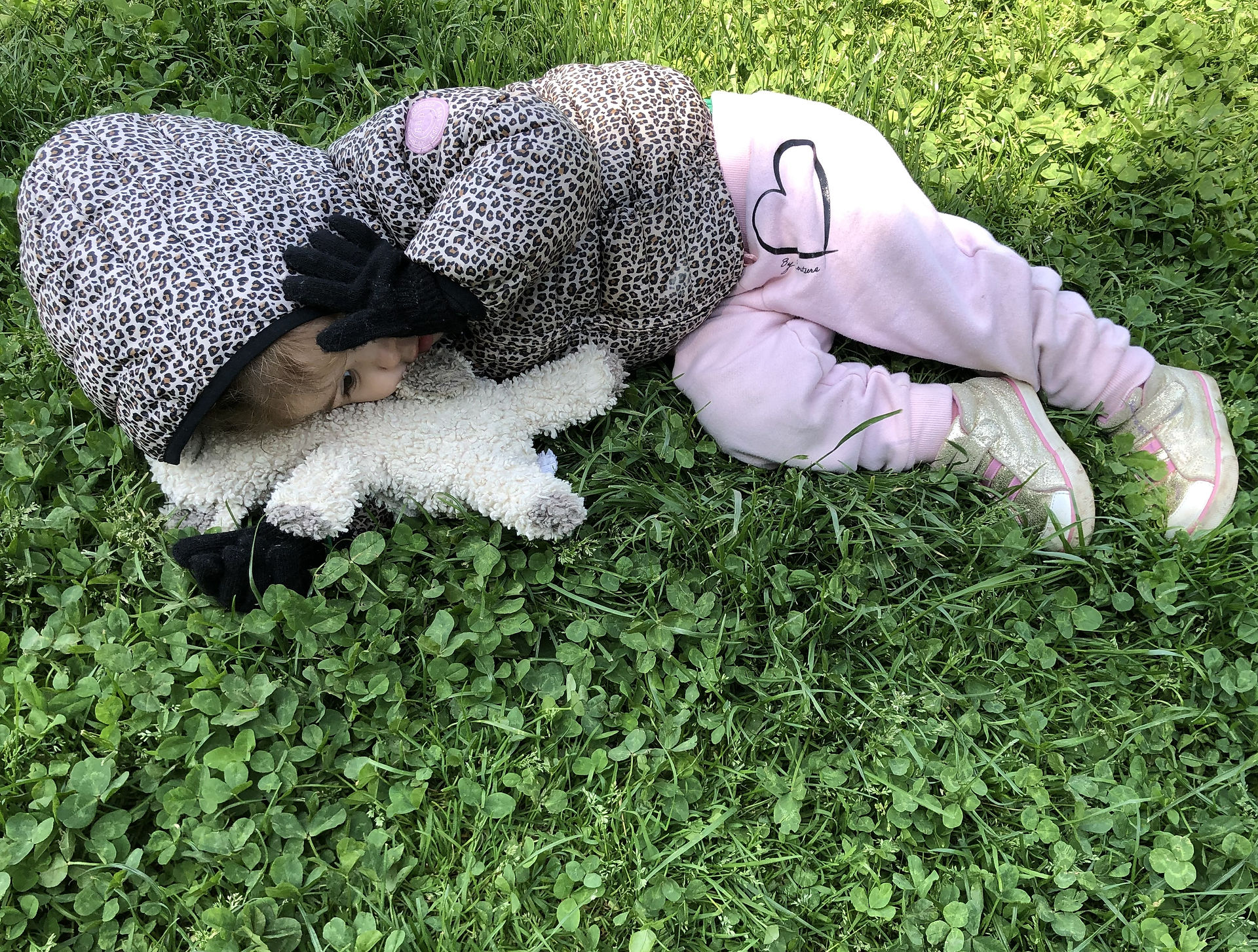 Bed for Lamby
