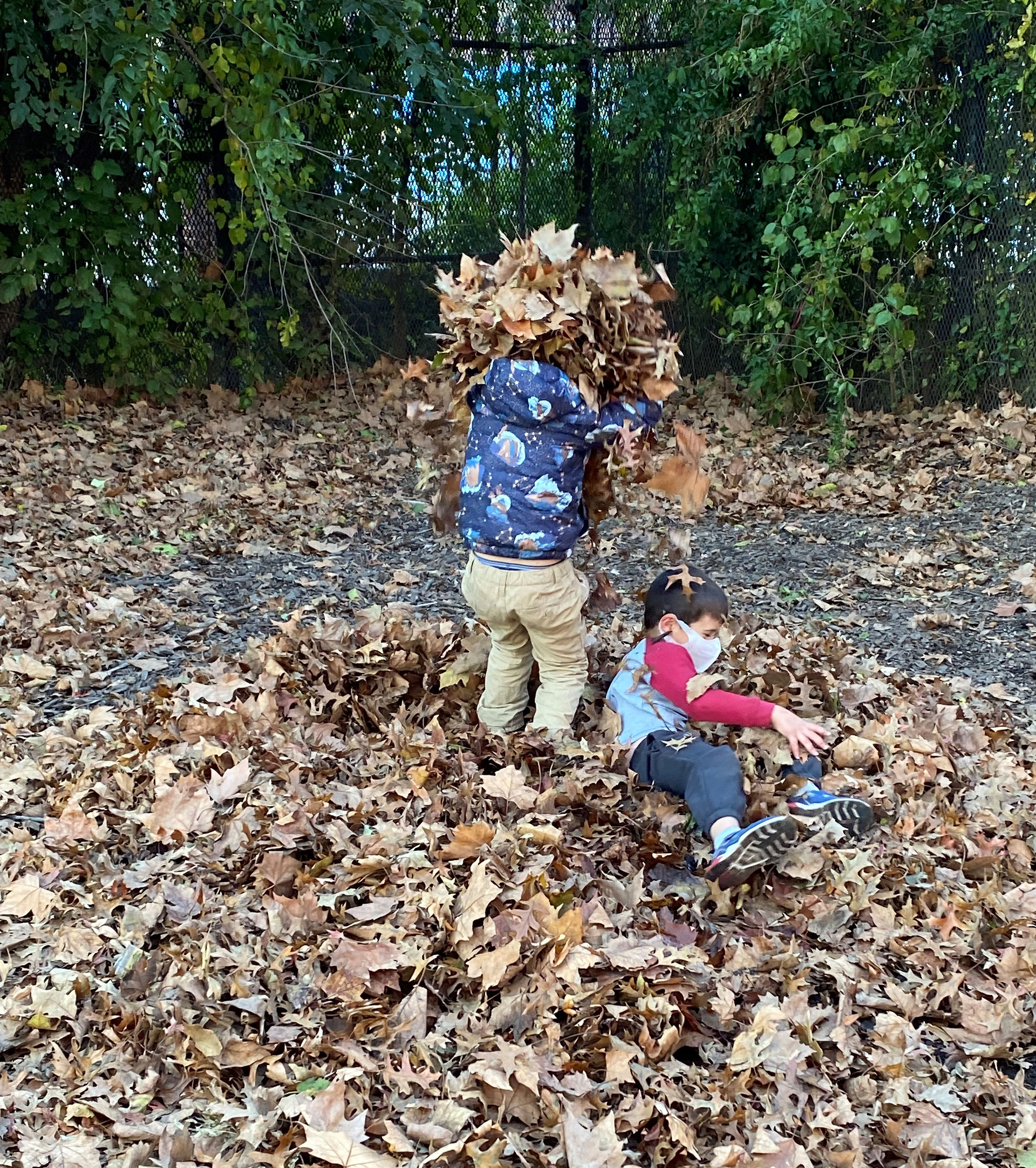Leaf head