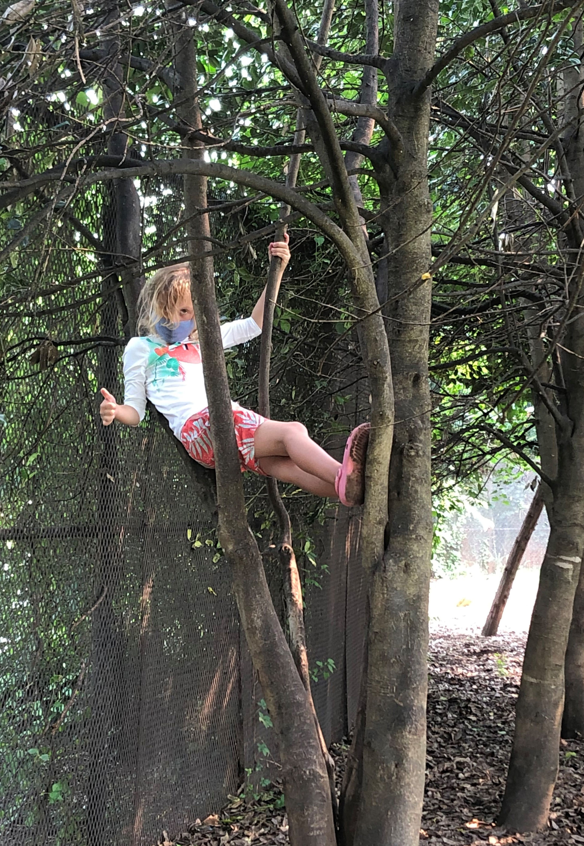 Climbing