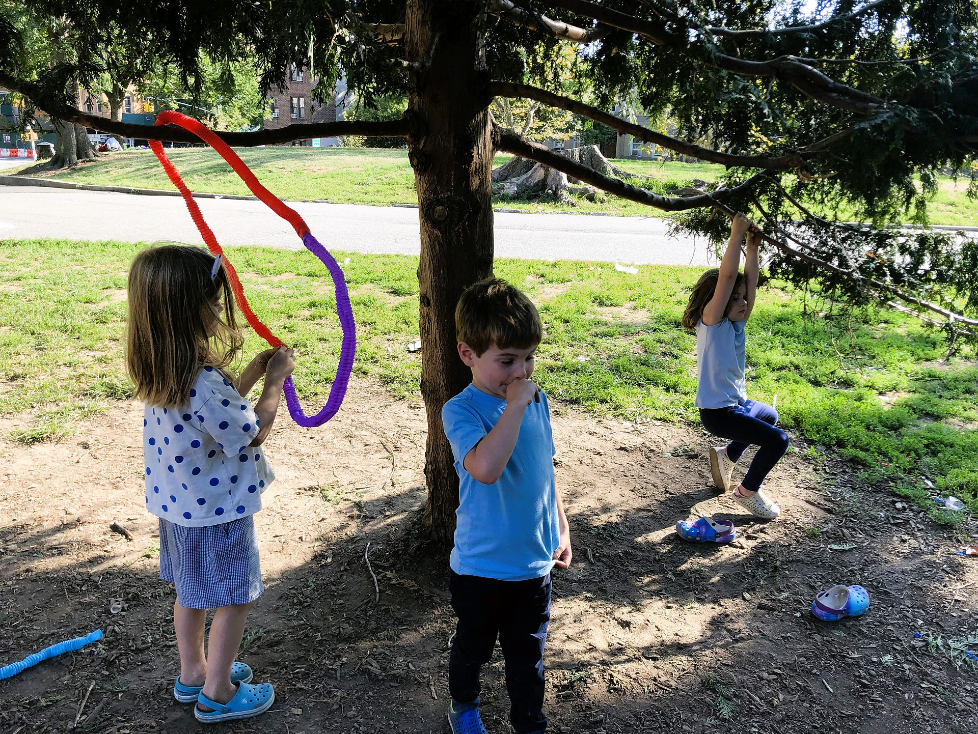 Tree work