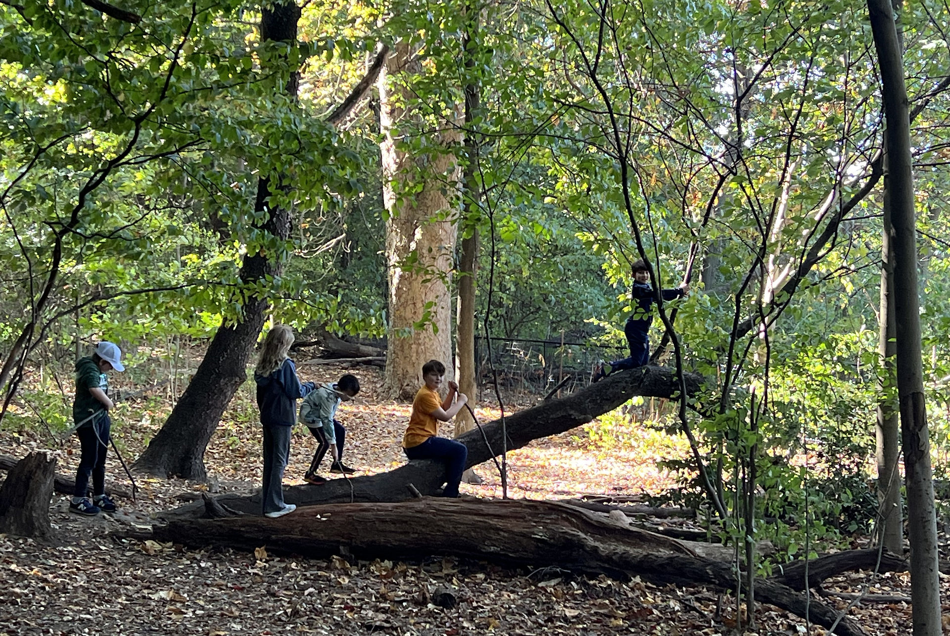 Planning and climbing