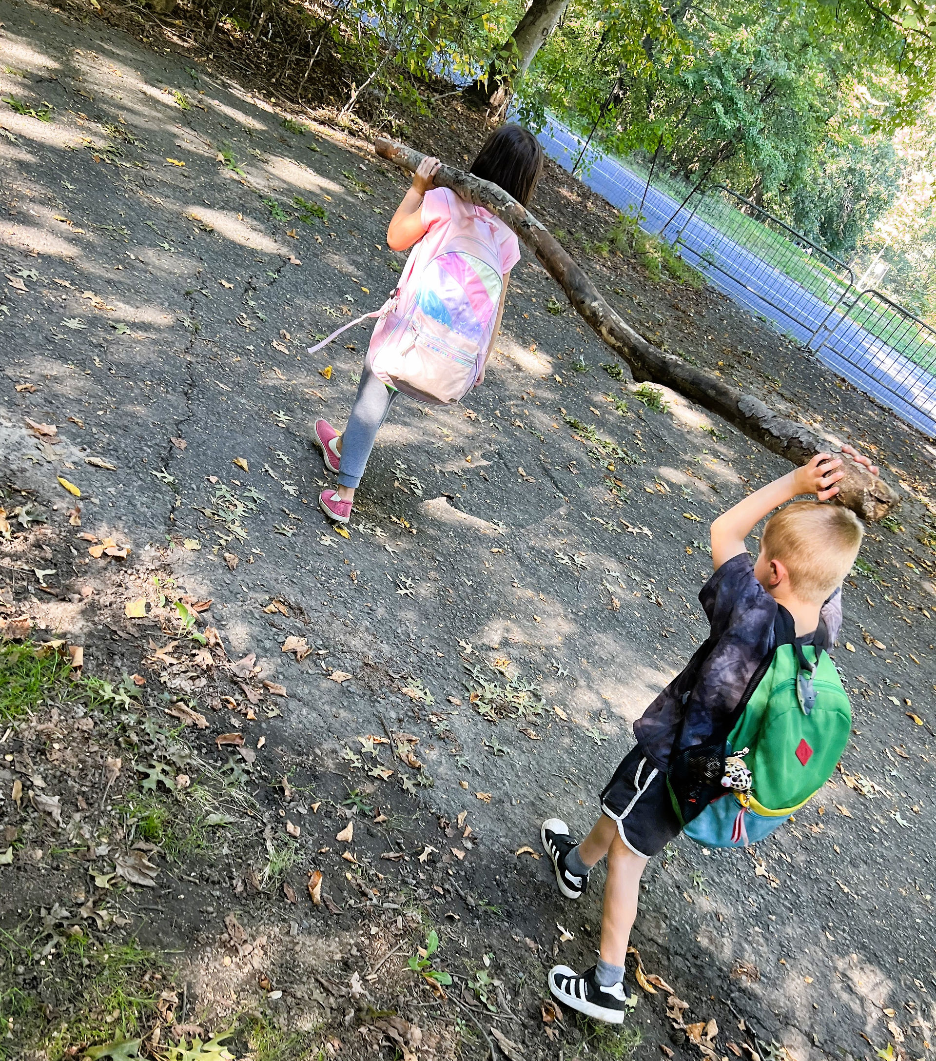 Carrying a log together