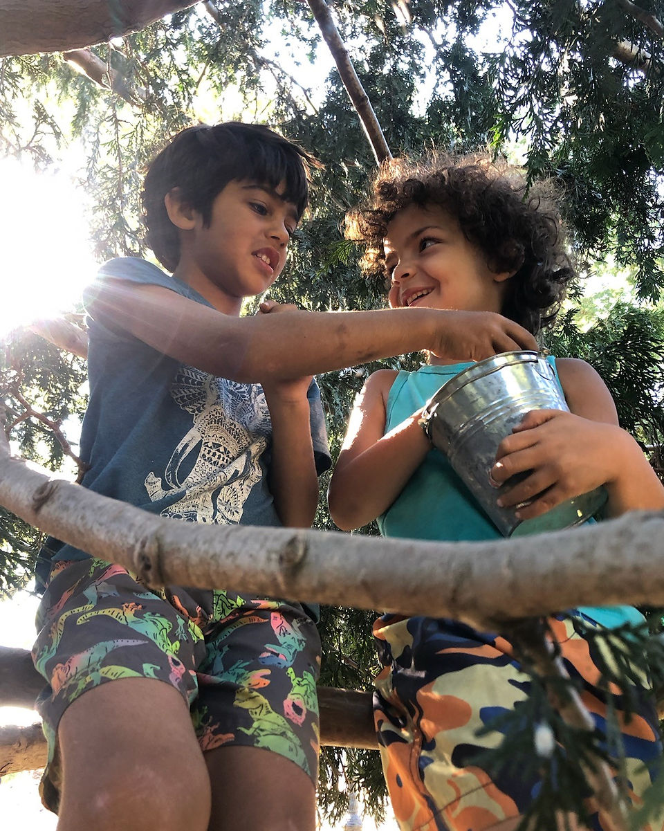 Sharing in the tree