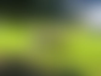 Dragon Princess Soup: playing after school on 9/18/25