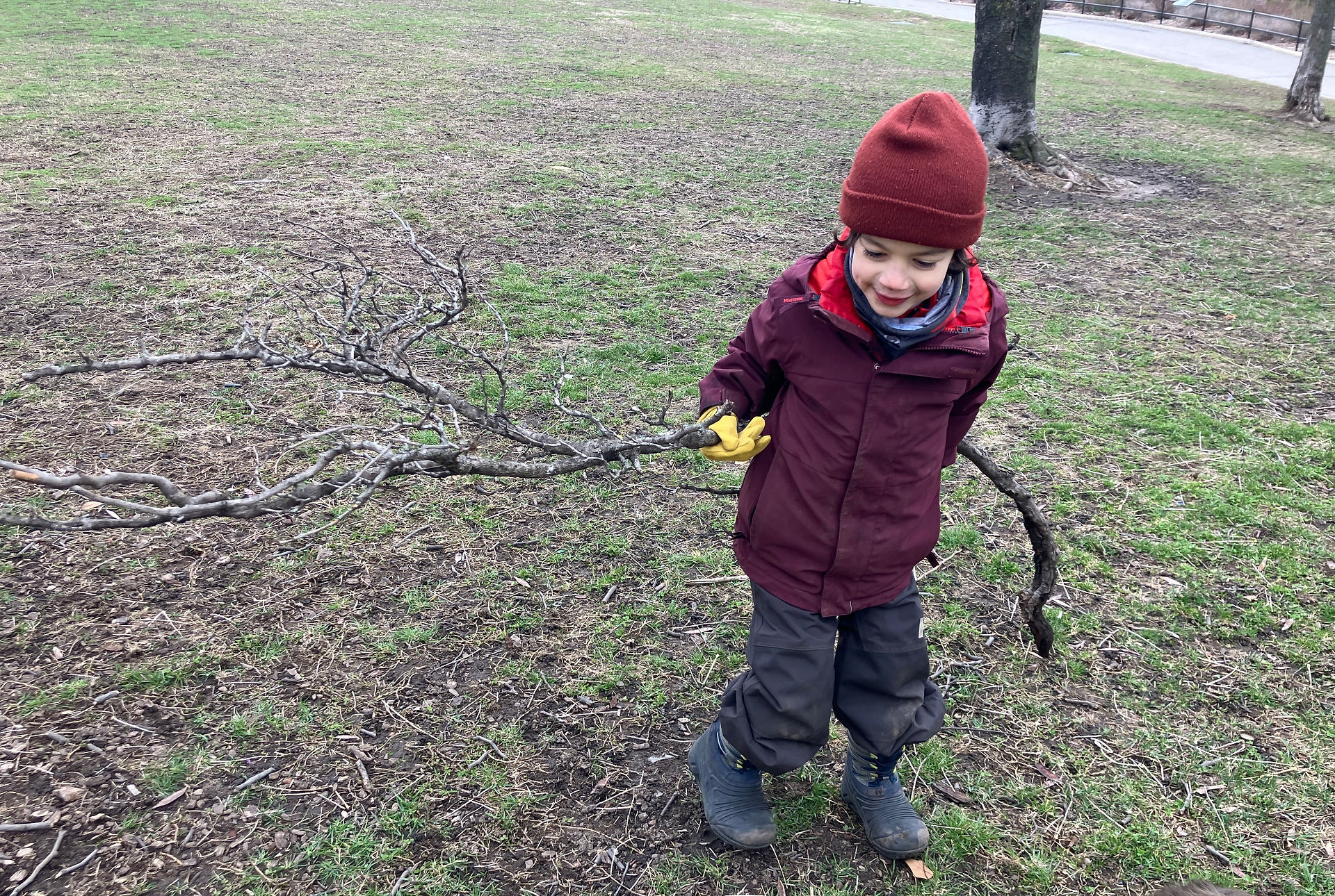 Big branch