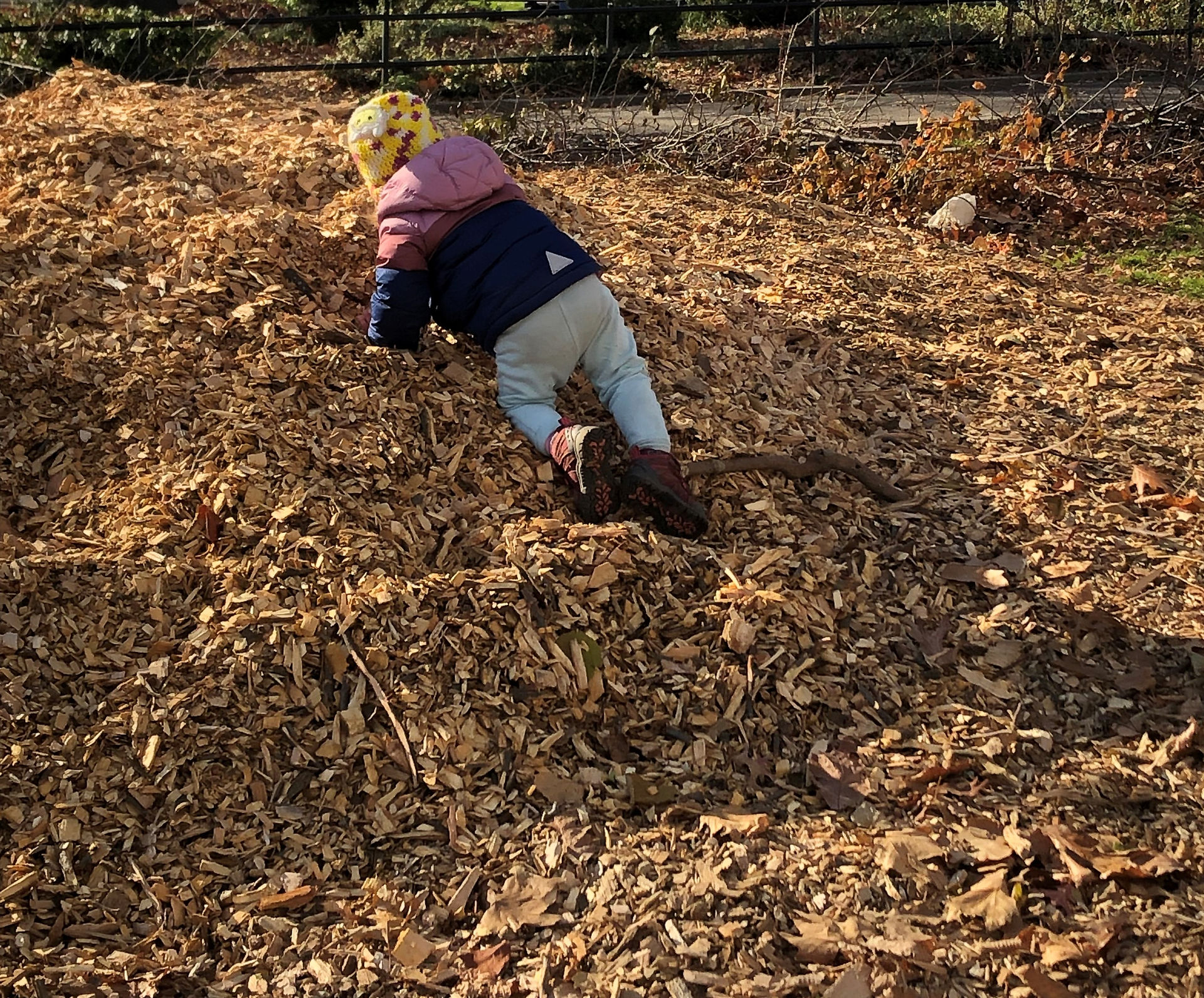 Climbing the hill