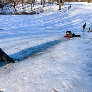 Sliding down the ice