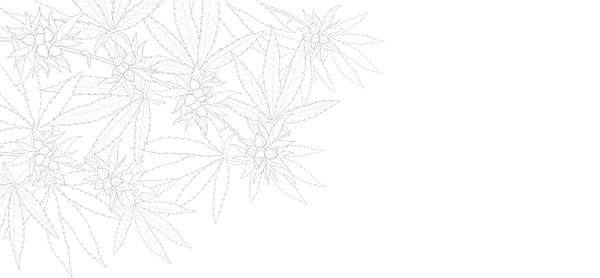 Copy of Copy of Copy of Copy of Copy of Copy of Unnamed Design (11)_edited.png