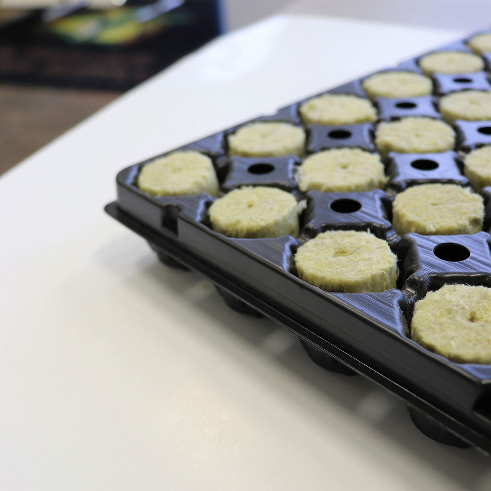 Thumbnail: Rockwool Starter Plug Trays Case/26 (50 cell)