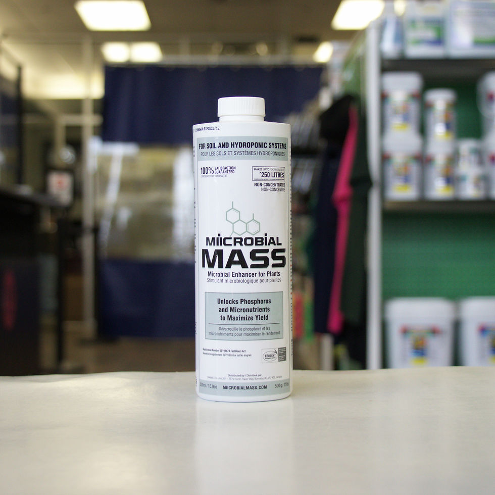 Thumbnail: Miicrobial Mass Concentrate 1L