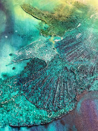 Close up IV