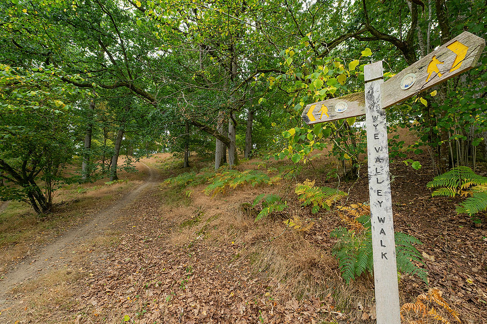 de Wye Valley walk.....