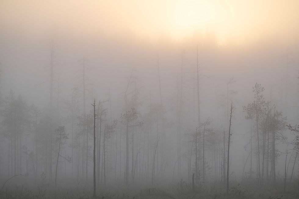 Zonsopkomst rond een uur of 01.00 uur in de ochtend