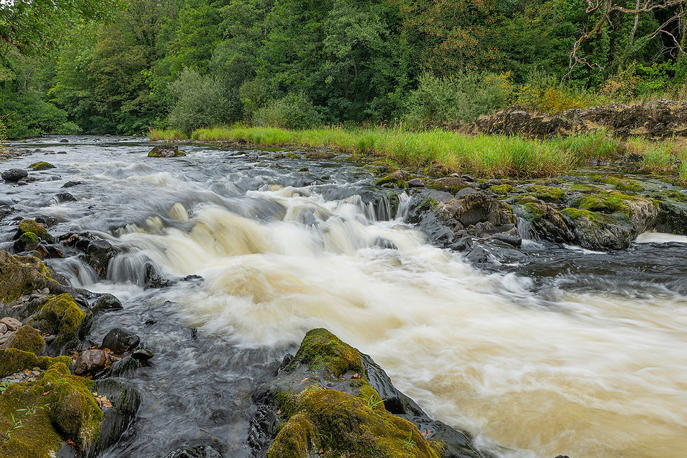 Een mooie habitat voor otter, waterspreeuw en grote gele kwikstaart...