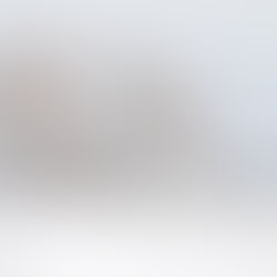 Winter in de IJsseldelta