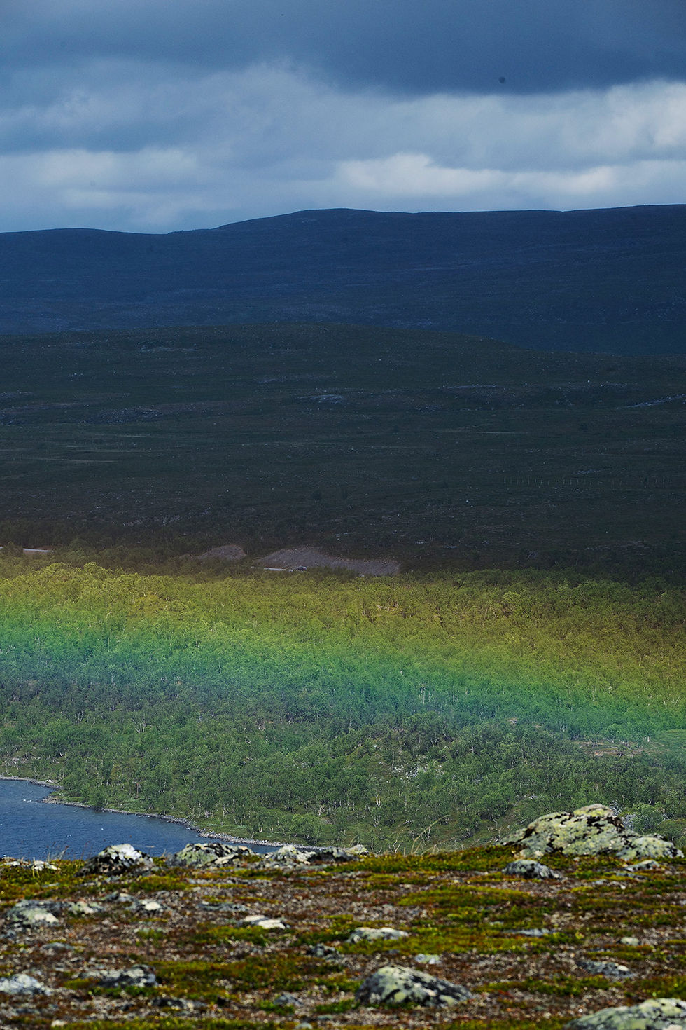 Een regenboog loopt dwars door het natuurgebied....
