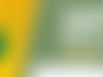 21 de Fevereiro tem Kustelão na Norte Sul: vem pro bloco!