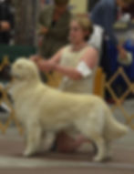 Oh I love it, Emily!