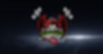 banner 2.jpg