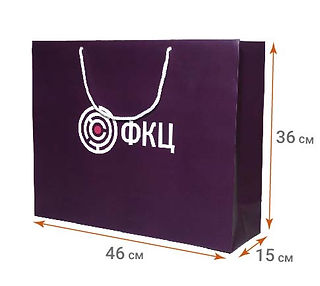 Большой горизонтальный бумажный пакет с логотипом