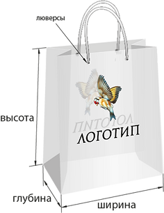 Пакет прозрачный с размерами_edited.png