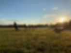 Fitness enthusiasts going through workout as sun rises in background.jpeg