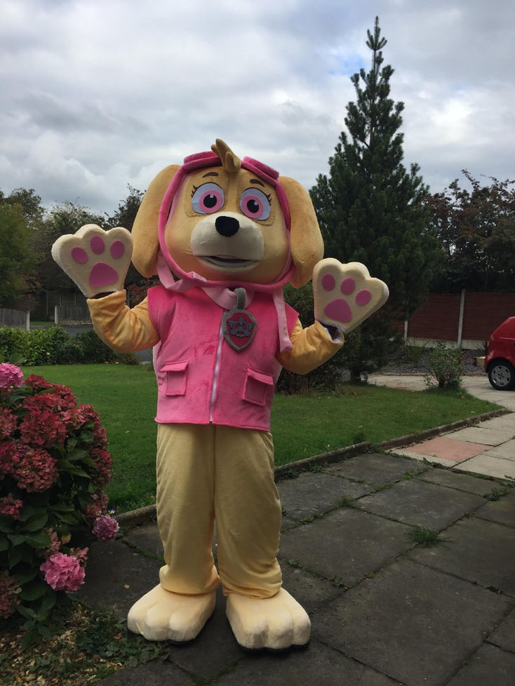 Person in Paw Patrol costume