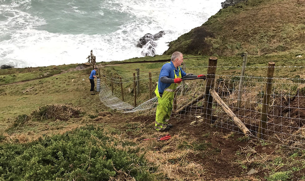 H2 Environmental team working on clifftop fence