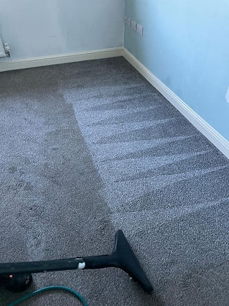 Carpet in process of being cleaned