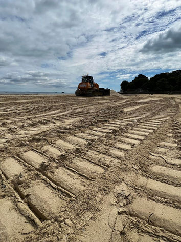 Caterpillar tracks in the sand with plant in the distance