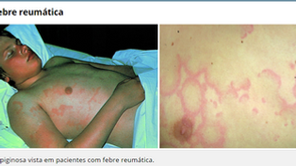 058283_61b0a56a01b543fd9736432117f14b09~mv2.webp