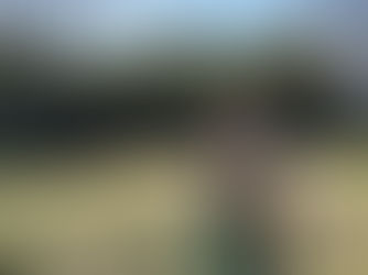 草地の中央にある緑のドラム缶の上に、ベージュのオーバーオールとグレーのセーターを着た男性が座っている。背景には竹林が見える。晴天。