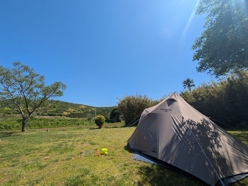 青い空、草木のグリーンに映えるテント
